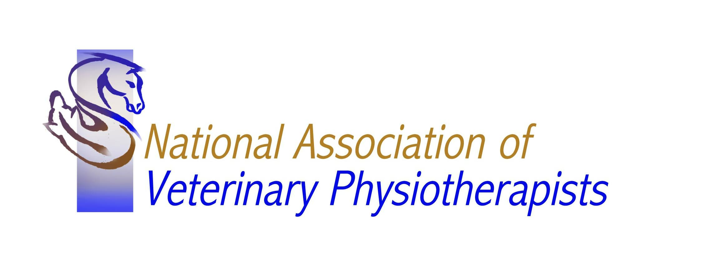 Horse Physiotherapy Warwickshire